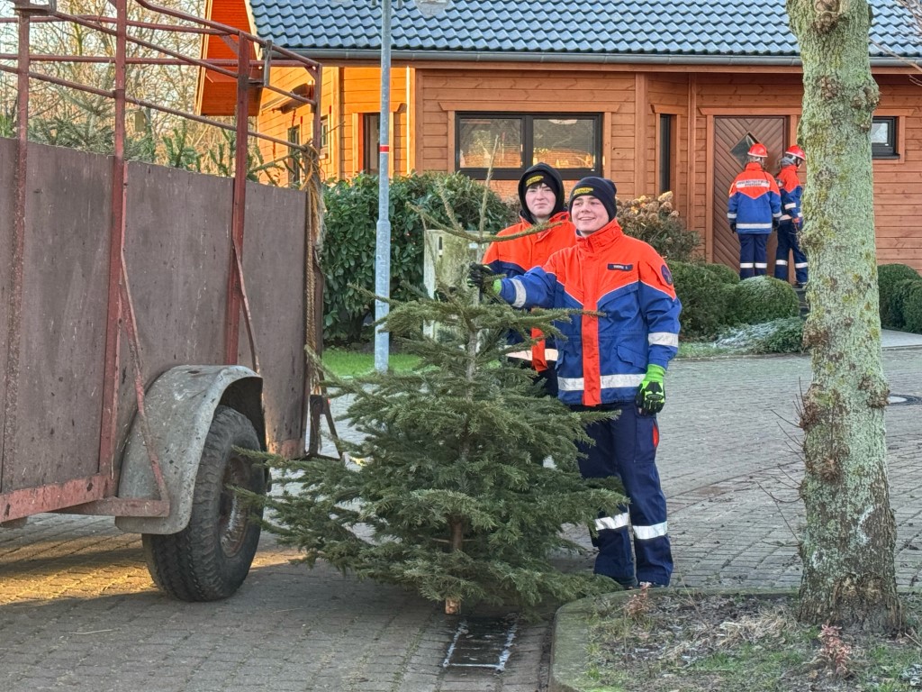 Weihnachtsbäume